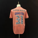 Porto Campeão Alternativa 2025/26